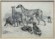Deerhound Greyhound Dandie
