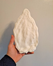 Stegosaurus Back Spinal Plate