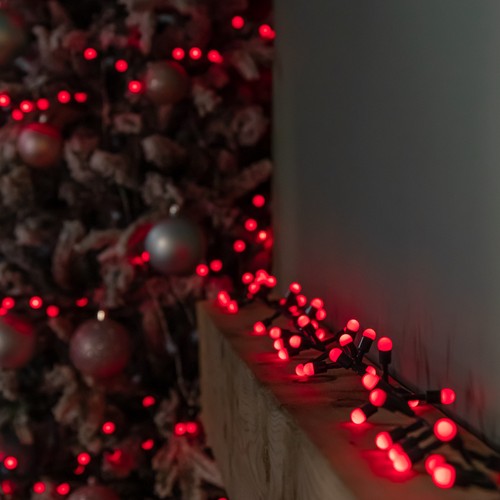 1000 christmas berry - 1000,