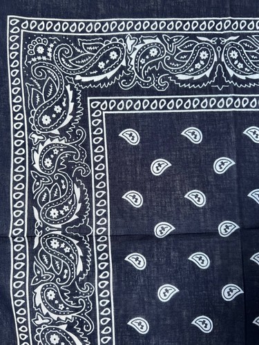 Dark blue soft edge paisley - dark,