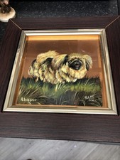 Pure Cooper Pekingese Picture 9x9 Great Condition