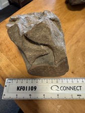 Whitby Fossil Ichthyosaur Vertebra, Bone Block Ref No 323, Jurassic 180 myo,