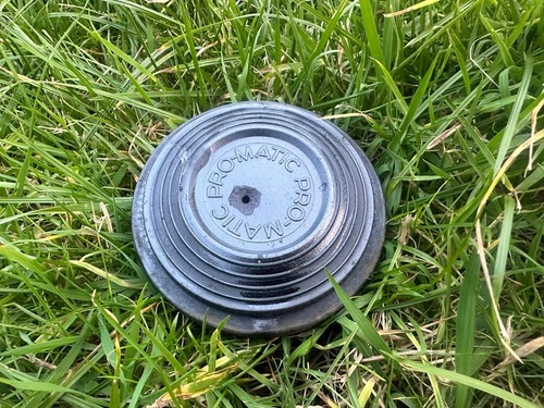 Clay pigeon simulated - pigeon, game