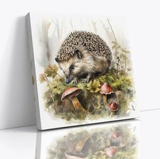 Hedgehog British Wildlife