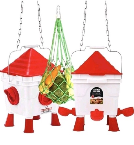Chicken feeder and drinker - chicken,