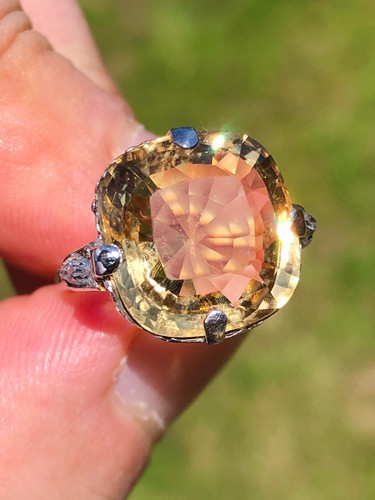 Gorgeous antique edwardian - gorgeous,