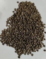 Adenia kirkii  S eeds  10/50/100pcs