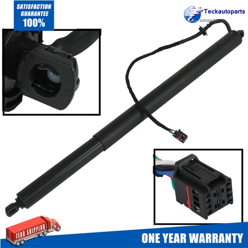 Electric tailgate gas strut - tailgate,