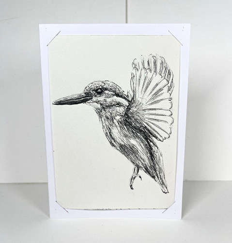 Original kingfisher bird - original,