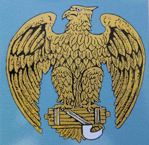 Mvsn generals helmet decal - mvsn,