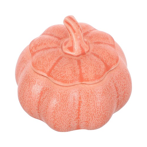 Pumpkin jar with sealed - jar,