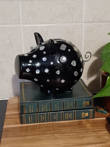 Salt pepper oink piggy bank - oink,