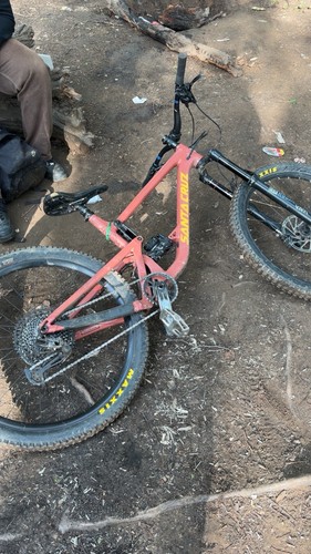 Santa cruz bronson - santa, 2020