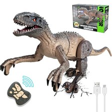 Realistic Remote Control