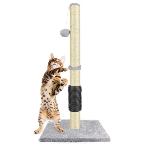 80cm tall large cat - tall,