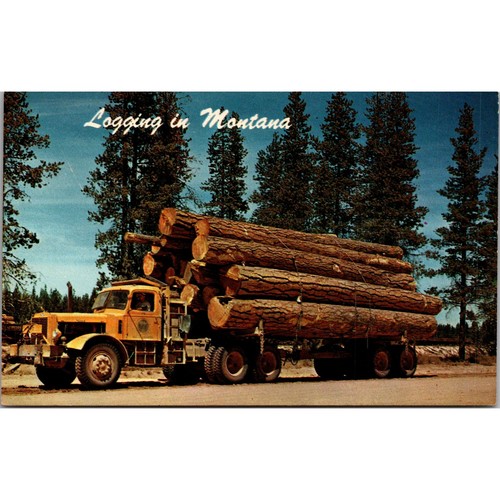 Logging montana truck - in,