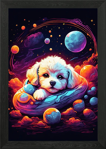 Bichon frize puppy - frize,