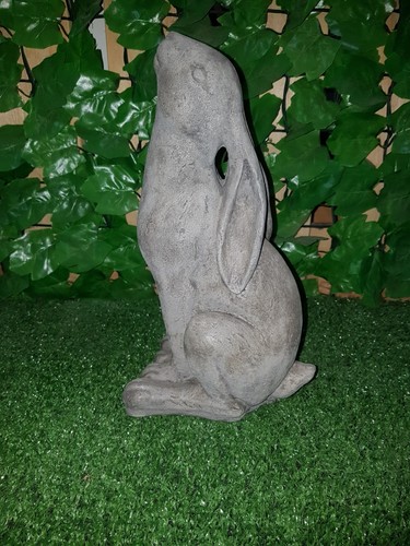 Made order moon gazing - made, hare