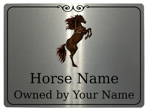 349 custom personalised horse - custom,