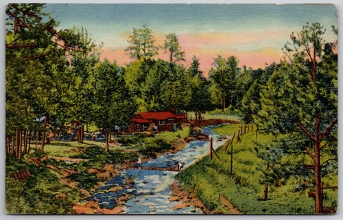 Vintage ruidoso new mexico - vintage,