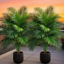 2pcs - Artificial Green Plant