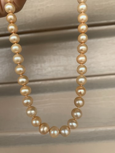 Golden akoya saltwater - akoya,