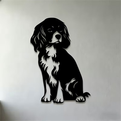 Cavalier king charles spaniel - charles,