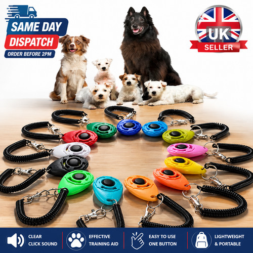 Pack pet puppy - pack,