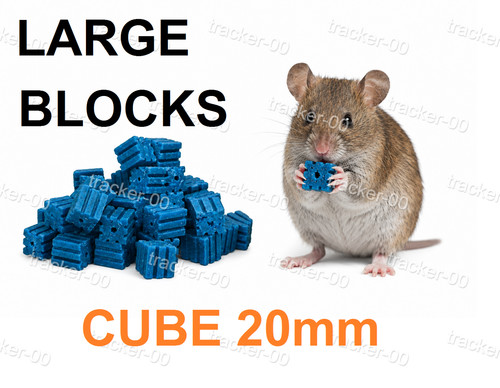 Rat poison feed - rat, mouse