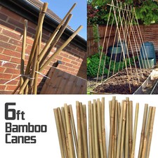 6FT Heavy Duty Professional Bamboo Plant Ties Support Sticks Garden Canes Poles 
