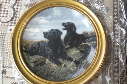 Royal doulton framed - doulton, plate