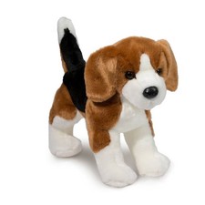 Douglas Bernie Beagle Dog