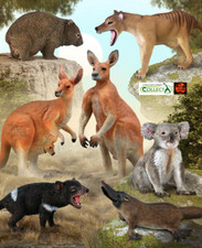 Australian Animal Wildlife Toy