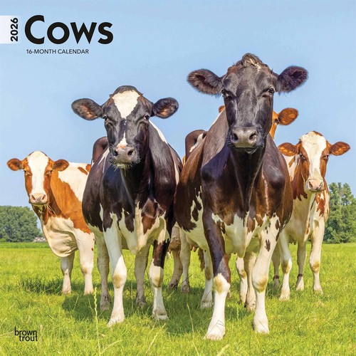 Cows calendar 2026 wall - cows, 2026,