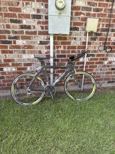 Quintana roo carbon - quintana,