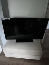 Bush - bush, 43”