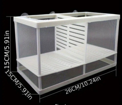 Aquarium fish tank guppy - tank,