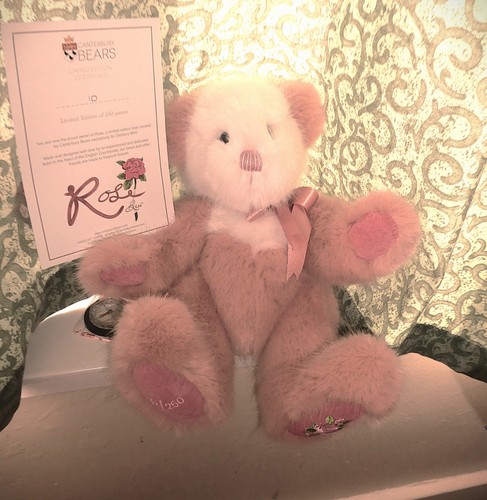 Canterbury bears rose teddy - bears,