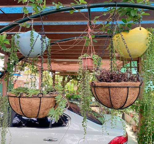 Hanging baskets 12 14 - 10", 14"