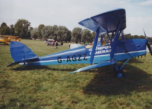 Agzz tiger moth - moth,