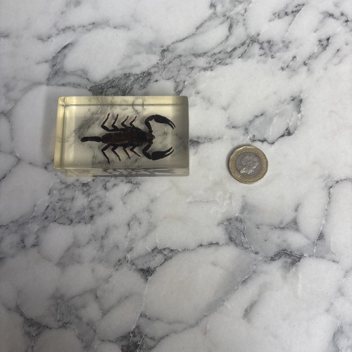 National geographic bugs - national,