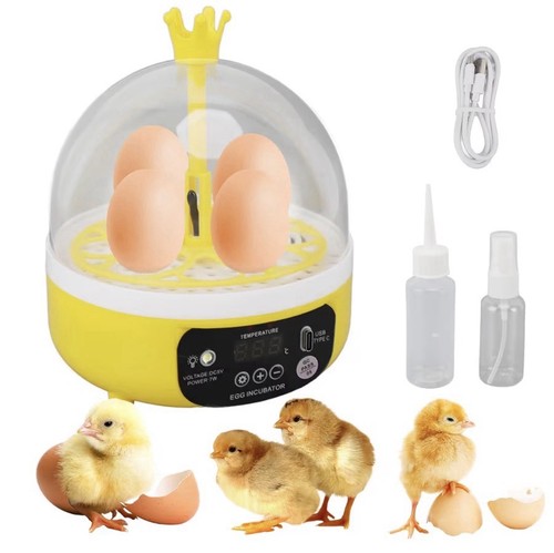 Eggs mini incubator with - mini,