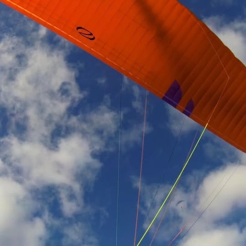Ozone delta large paraglider - 5,