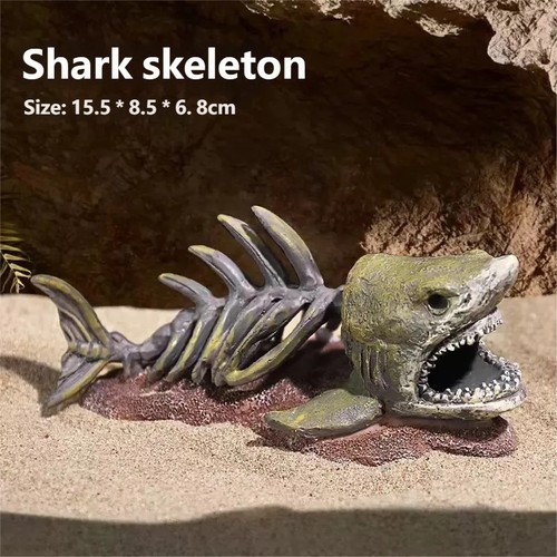 White shark skeleton - shark, aquarium