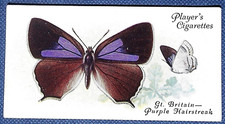 PURPLE HAIRSTREAK   BRITISH