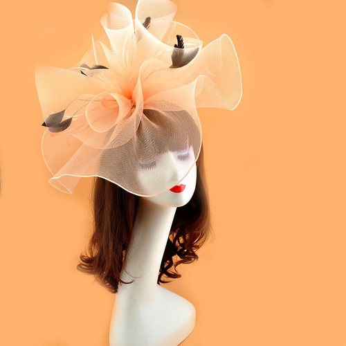 Hat fascinator cilp party - fascinator,
