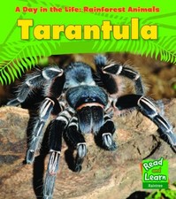 Tarantula (A Day in the Life: Rainforest Animals) By Anita Ganeri