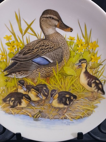 Halberts inc mallard family - halberts,