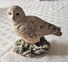 Border Fine Arts Birds Collection - 084 Snowy Owl