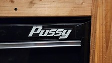 Pussy Magnetic Novelty Glow in Dark Tool Box Badge 3D Printed Box Truck